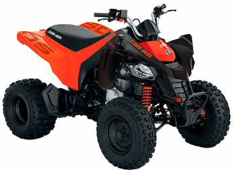 BRP CanAm DS 250